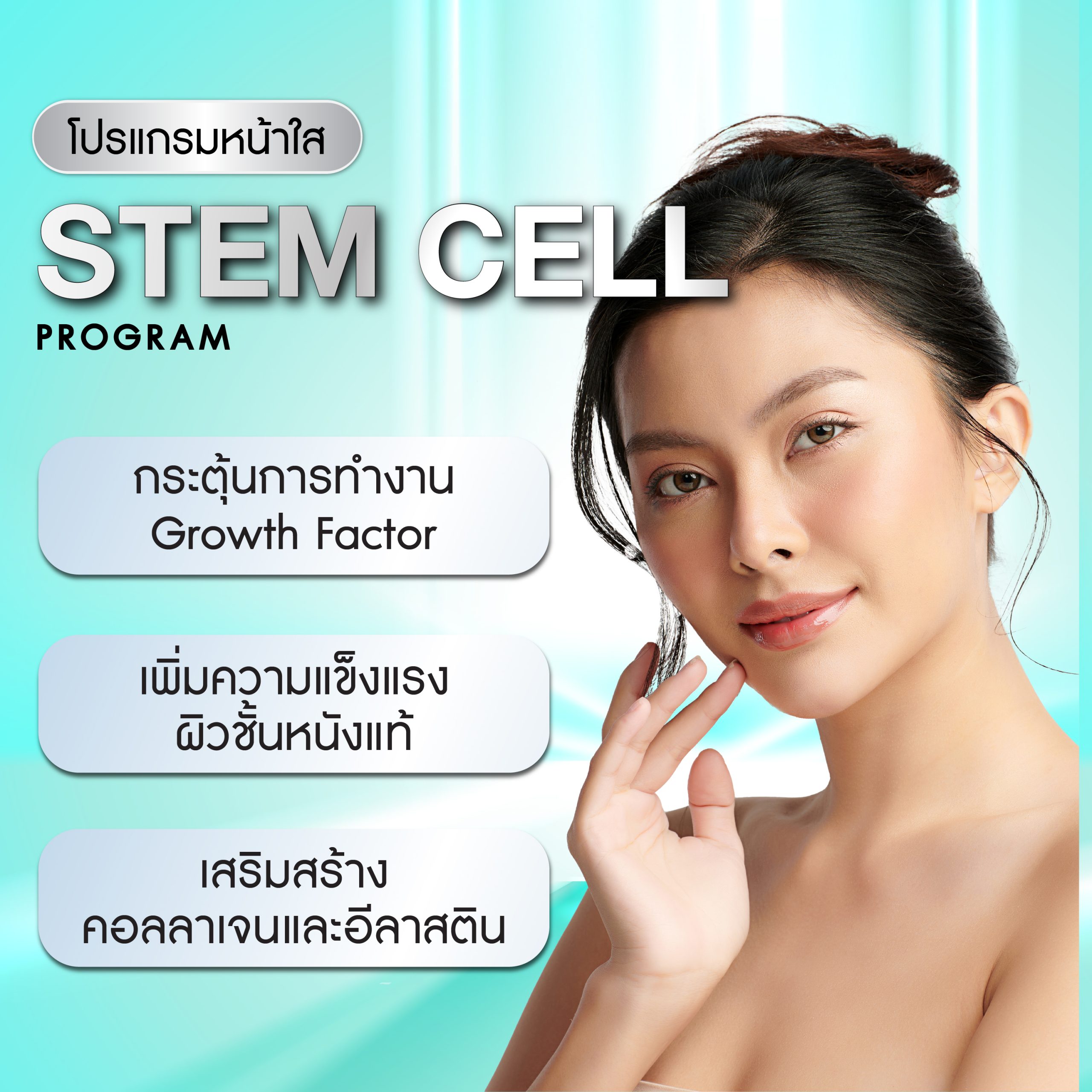 Stem Cell Program (โปรแกรม สเต็มเซลล์)