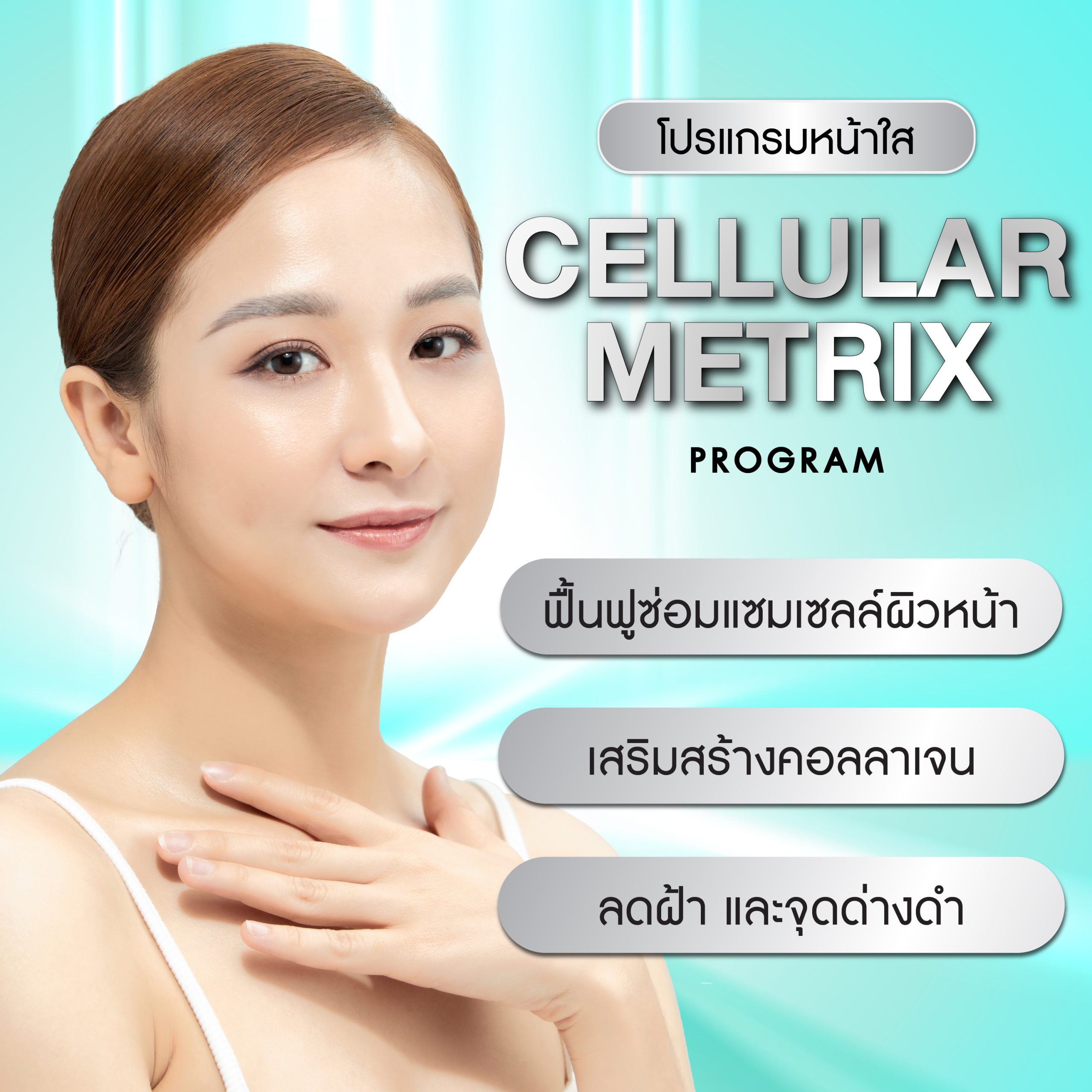 Cellular Matrix Program (โปรแกรม เซลลูลาร์ เมทริกซ์)